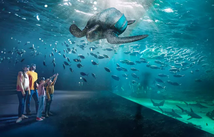 Plongée sous-marine virtuelle