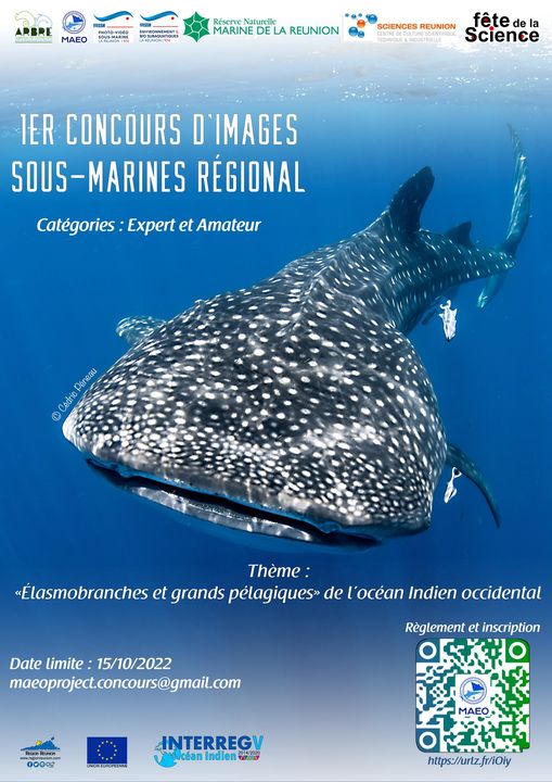 Premier concours d’images sous-marines Réunion